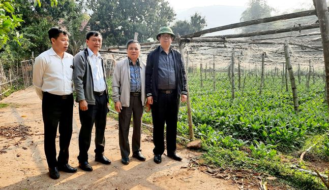 Đồng chí Bí thư huyện ủy huyện Yên Châu kiểm tra tình hình sản xuất vụ xuân năm 2023