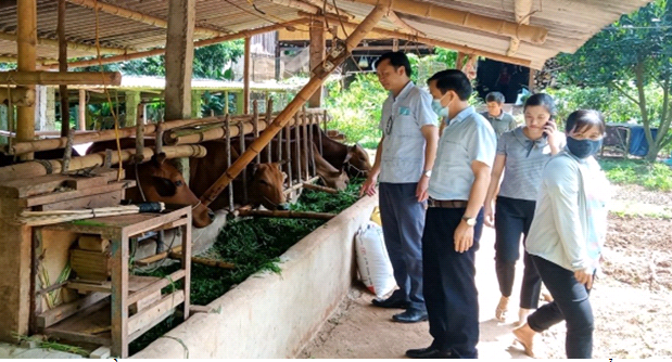 Ban Thường vụ Hội Nông tỉnh Sơn La thẩm định dự án vay vốn Quỹ Hỗ trợ nông dân tại xã Chiềng Bằng 
