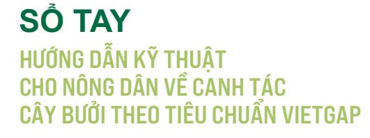 2. So tay hướng dẫn canh tác cây bưởi_VietGAP