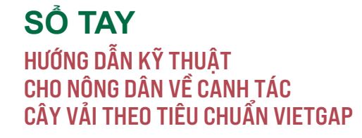 3 so tay  hướng dẫn canh tác cay vai thieu