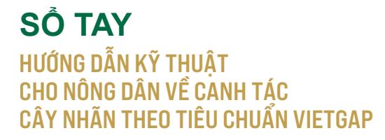 4. So tay hướng dẫn canh tác cây nhãn_VietGAP