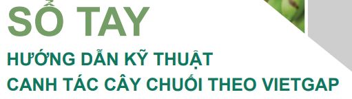 8. so tay hướng dẫn kỹ thuật canh tác quả chuối-VietGAP