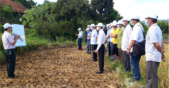  Hội Nông dân tỉnh: Hội thảo đầu bờ mô hình canh tác lúa cải tiến SRI