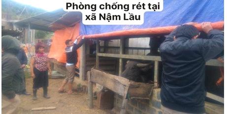 Hội Nông dân Thuận Châu hướng dẫn hội viên về công tác phòng chống đói, rét cho đàn vật nuôi do ảnh hưởng từ thời tiết khắc nghiệt
