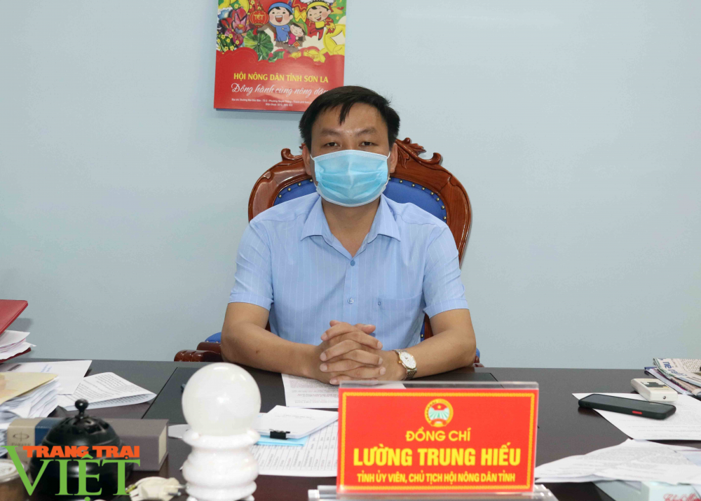 Hội Nông dân tỉnh Sơn La hỗ trợ tiêu thụ nông sản cho nông dân