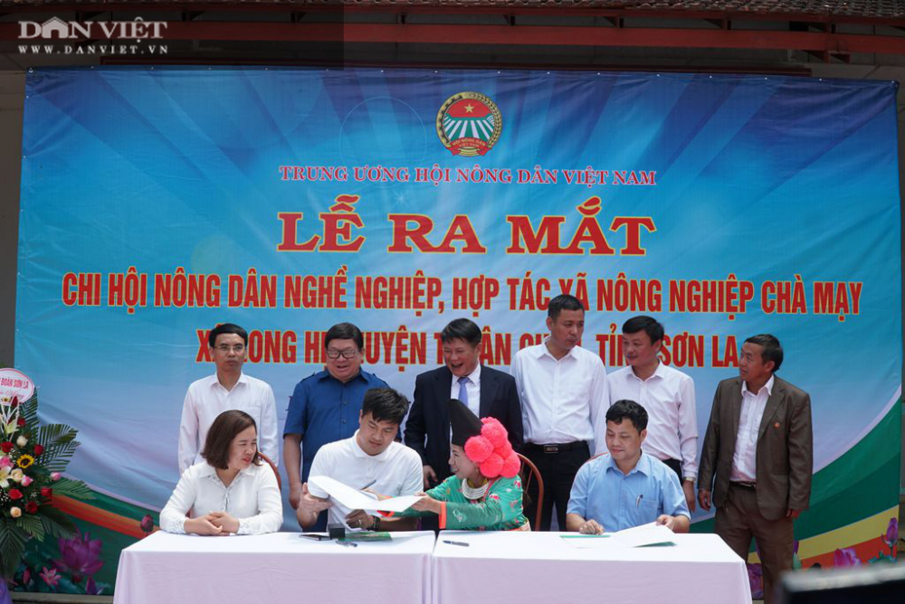 Sơn La: Chủ tịch Hội Nông dân Việt Nam dự lễ ra mắt chi hội nông dân nghề nghiệp ở xã đặc biệt khó khăn