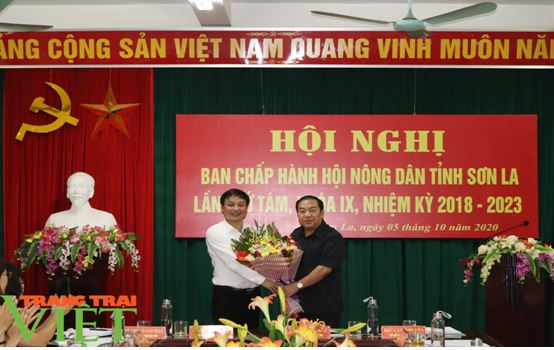 Sơn La có tân Chủ tịch Hội Nông dân tỉnh - Ảnh 4.