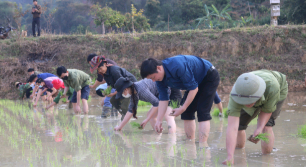 Sơn La: Hiệu quả dự án tăng cường tiếng nói và năng lực cho người nông dân ứng phó với biến đổi khí hậu - Ảnh 2.