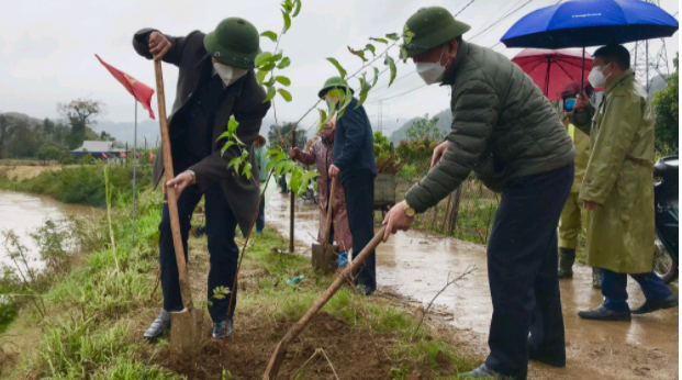 Hội Nông dân tỉnh Sơn La tổ chức lễ phát động hưởng ứng chương trình trồng 1 tỷ cây xanh  - Ảnh 2.
