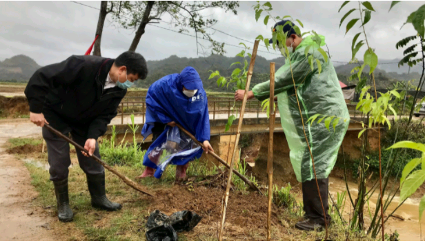 Hội Nông dân tỉnh Sơn La tổ chức lễ phát động hưởng ứng chương trình trồng 1 tỷ cây xanh  - Ảnh 3.